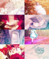 /album/fotogaleria/a30361-10151570600066676-1311976331-n-jpg1/