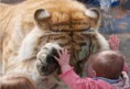 /album/fotogaleria/a255454-521972984528393-579041982-n-jpg1/