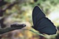 /album/fotogaleria/a310028-521243557934669-2139565894-n-jpg1/