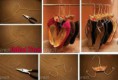/album/tacones/a542484-188276527972721-54706912-n-jpg/